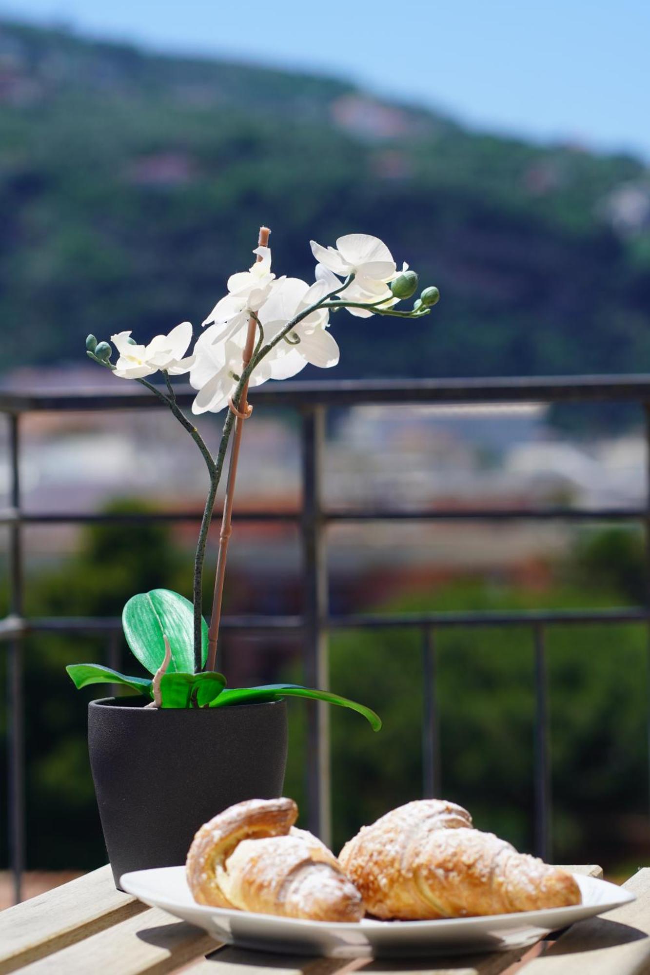 Casa Nelida, Sorrento Centre Daire Dış mekan fotoğraf